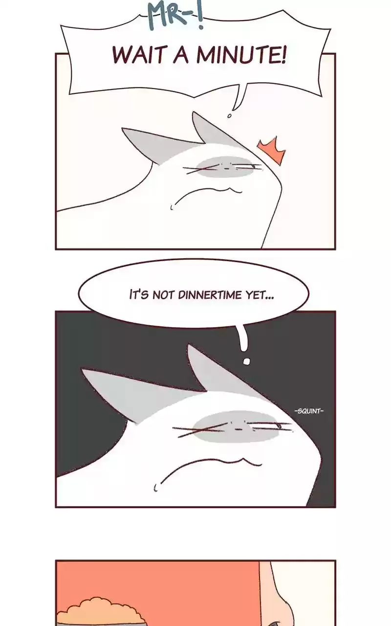 Saphie: The One-Eyed Cat Chapter 198: