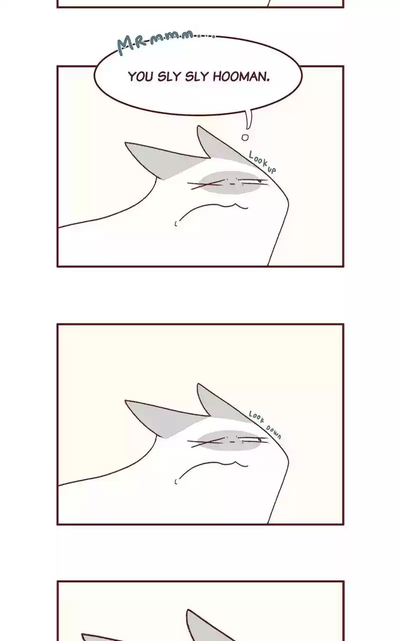 Saphie: The One-Eyed Cat Chapter 198: