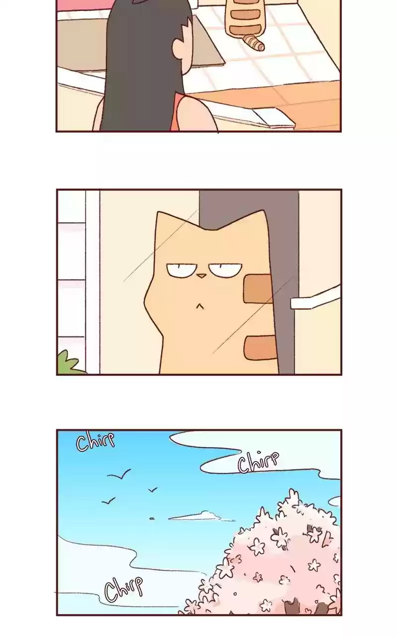 Saphie: The One-Eyed Cat Chapter 199: