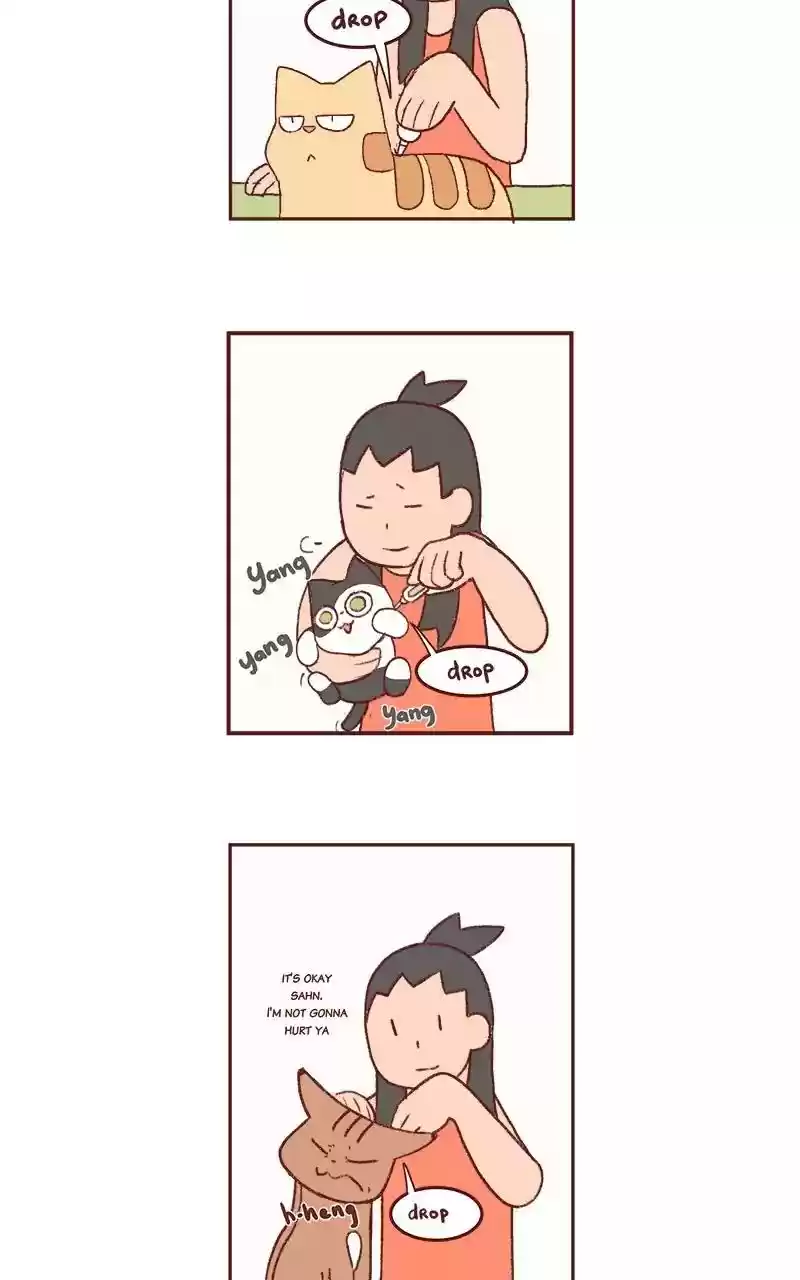 Saphie: The One-Eyed Cat Chapter 200: