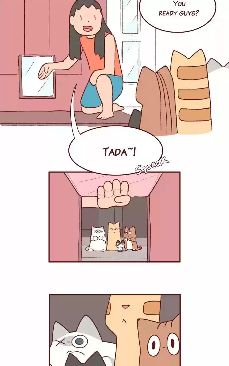 Saphie: The One-Eyed Cat Chapter 200: