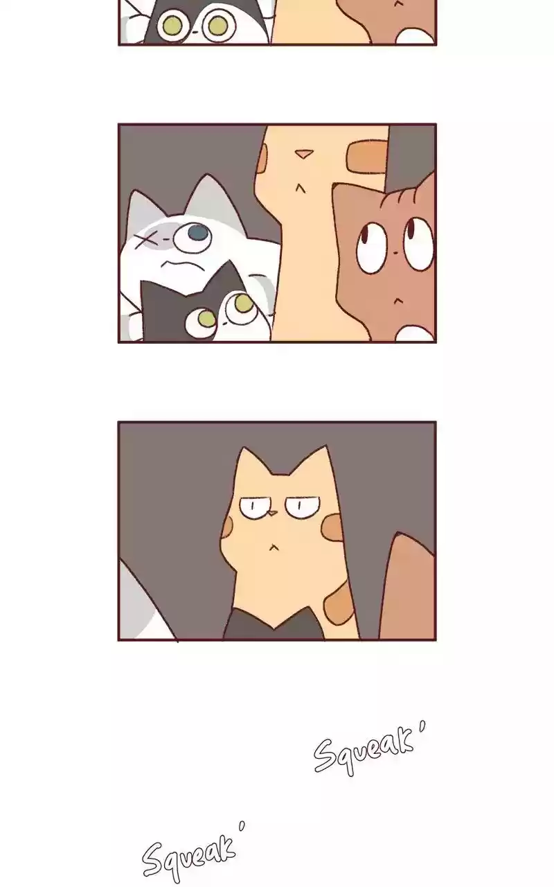 Saphie: The One-Eyed Cat Chapter 200: