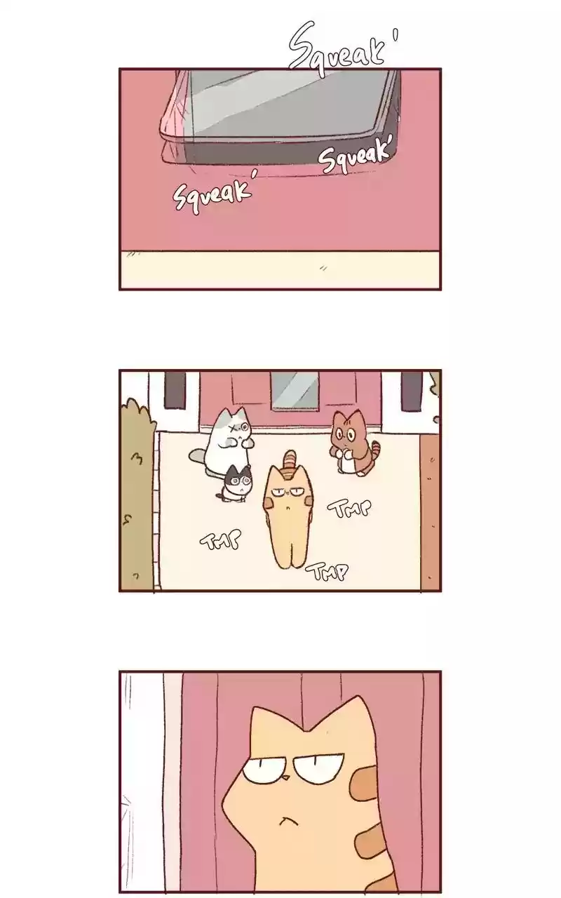 Saphie: The One-Eyed Cat Chapter 200: