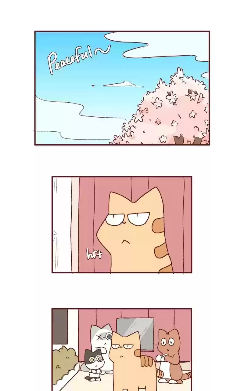 Saphie: The One-Eyed Cat Chapter 200: