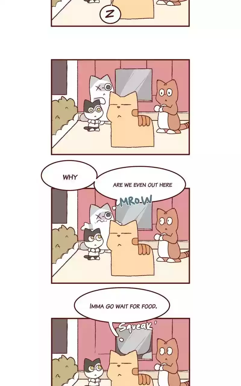 Saphie: The One-Eyed Cat Chapter 200: