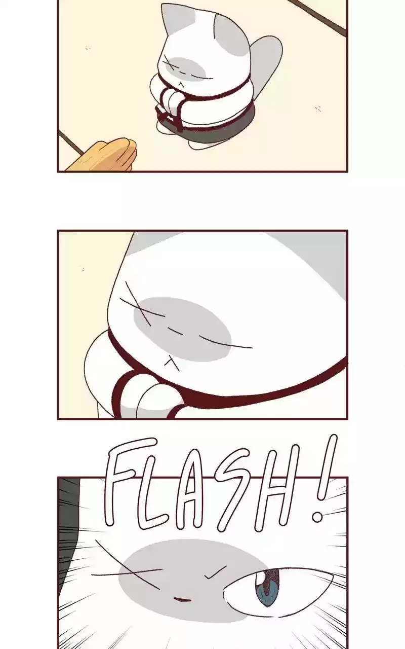 Saphie: The One-Eyed Cat Chapter 202: