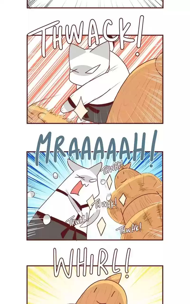 Saphie: The One-Eyed Cat Chapter 202: