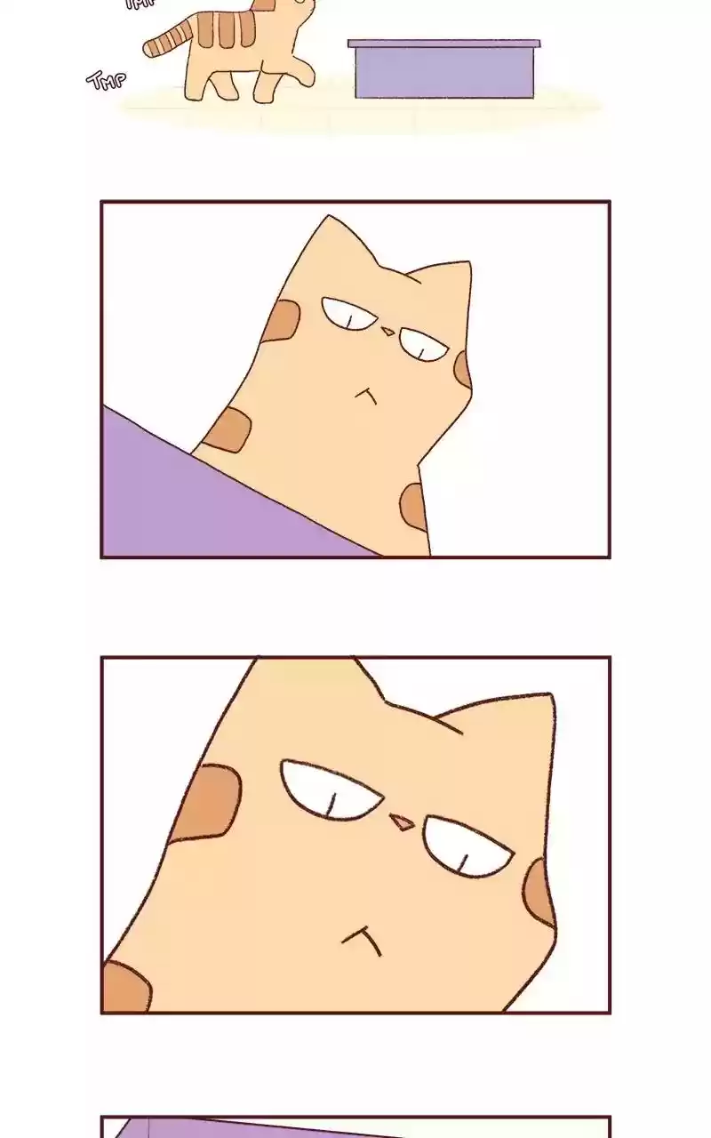 Saphie: The One-Eyed Cat Chapter 203: