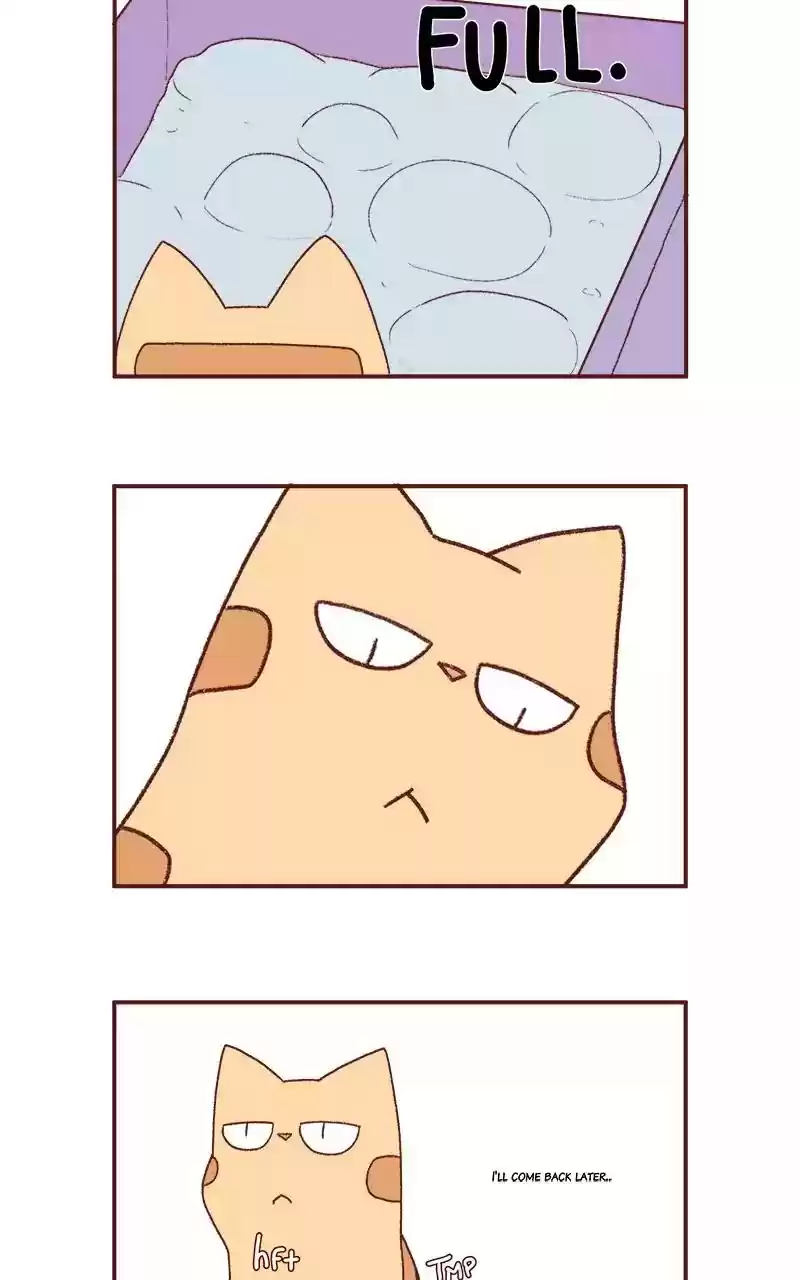 Saphie: The One-Eyed Cat Chapter 203: