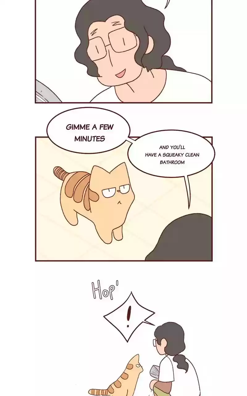 Saphie: The One-Eyed Cat Chapter 203: