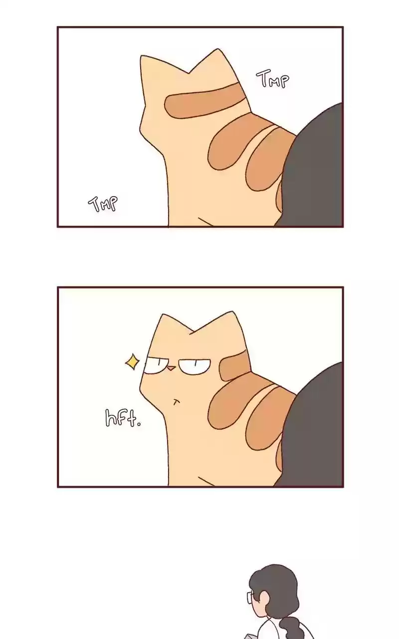 Saphie: The One-Eyed Cat Chapter 203: