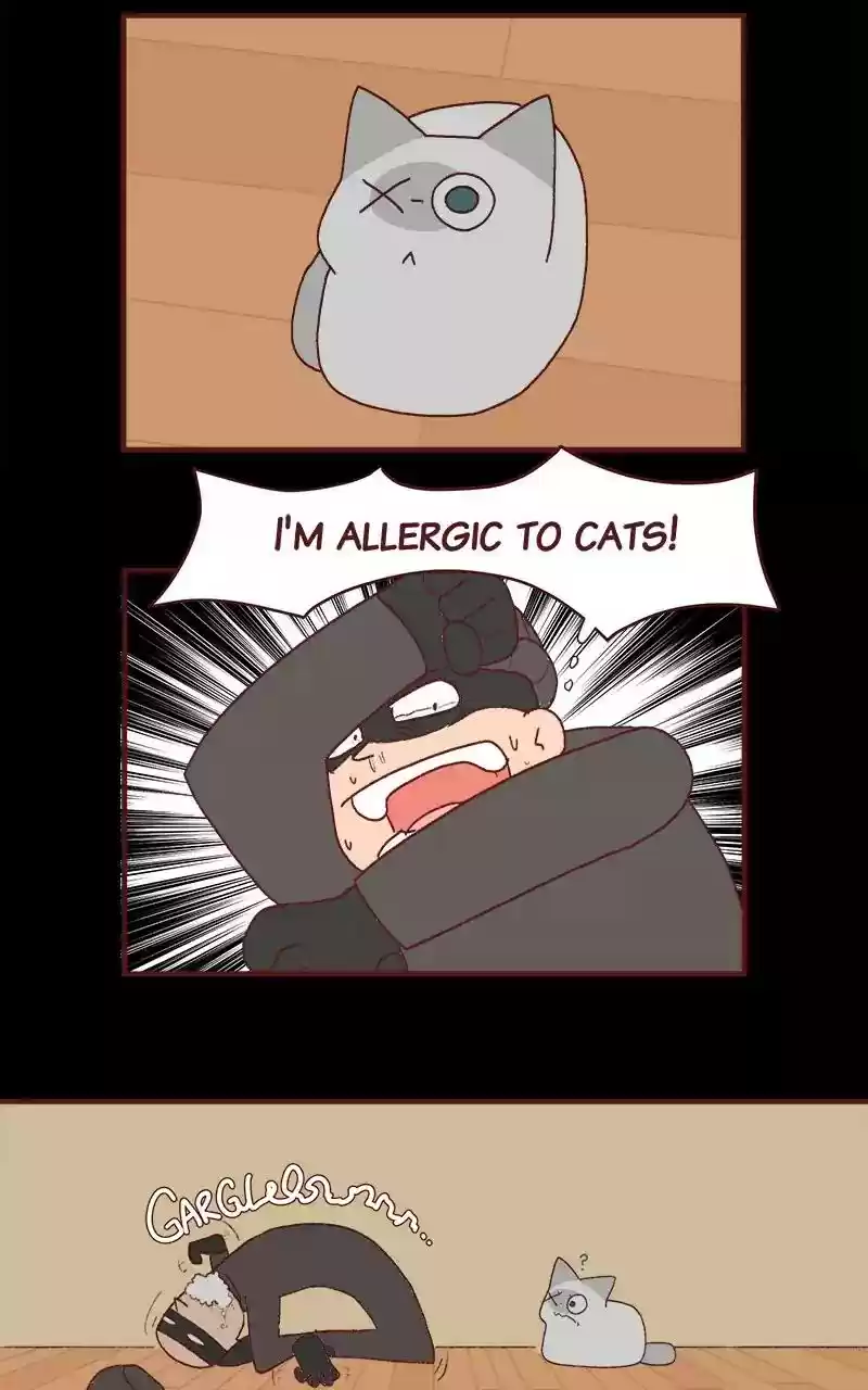 Saphie: The One-Eyed Cat Chapter 204: