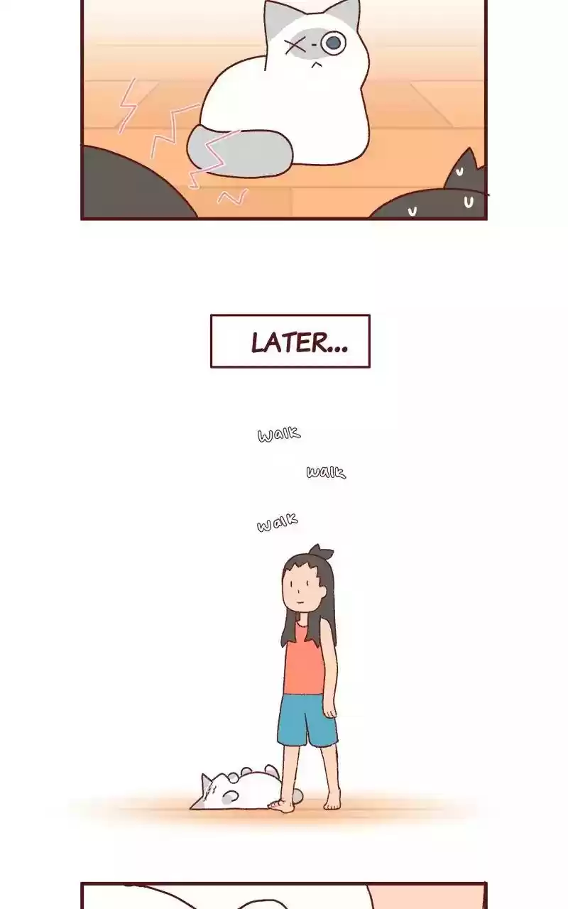 Saphie: The One-Eyed Cat Chapter 205: