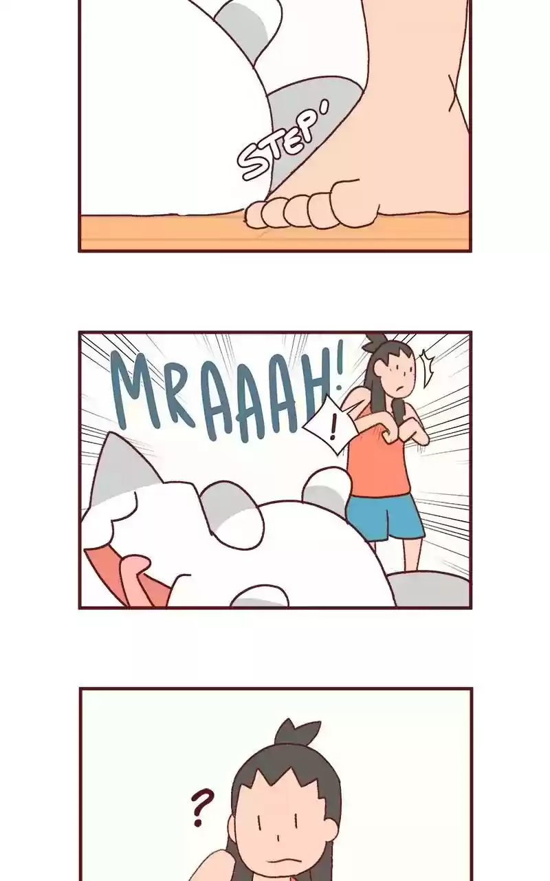 Saphie: The One-Eyed Cat Chapter 205: