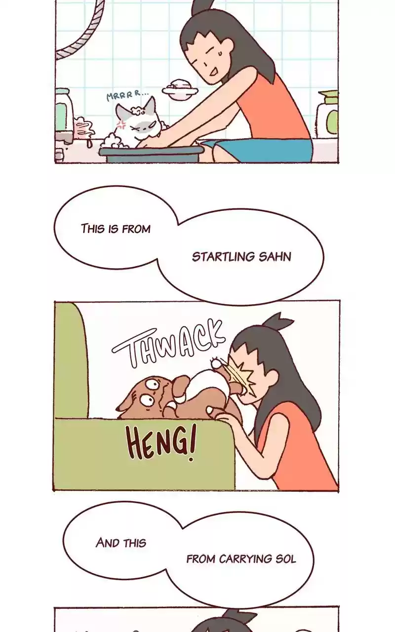 Saphie: The One-Eyed Cat Chapter 217: