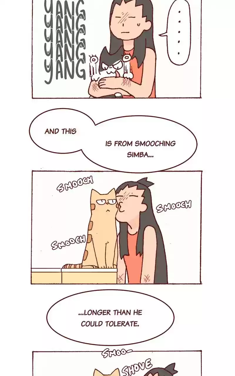 Saphie: The One-Eyed Cat Chapter 217: