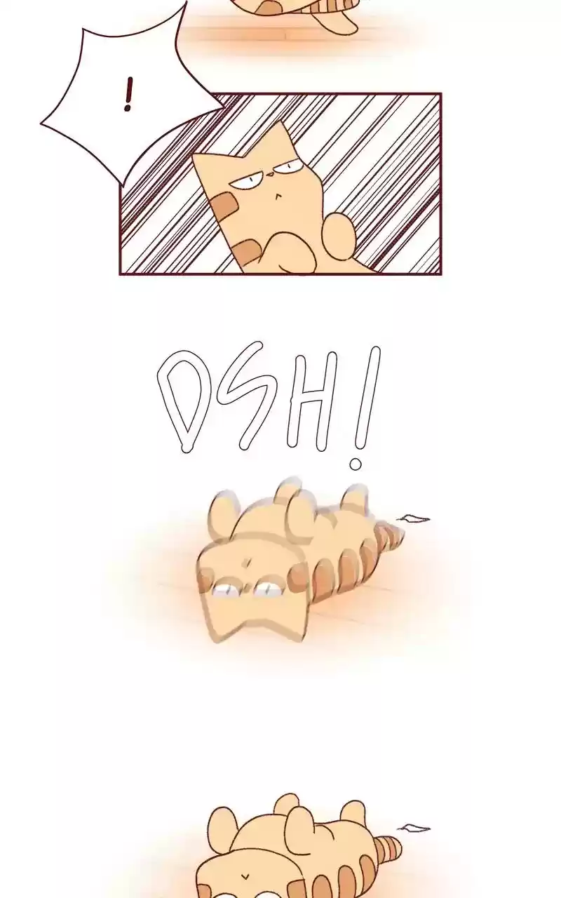 Saphie: The One-Eyed Cat Chapter 218: