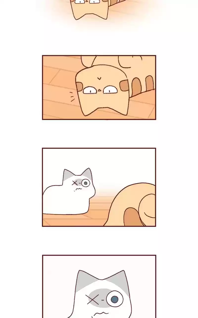 Saphie: The One-Eyed Cat Chapter 218: