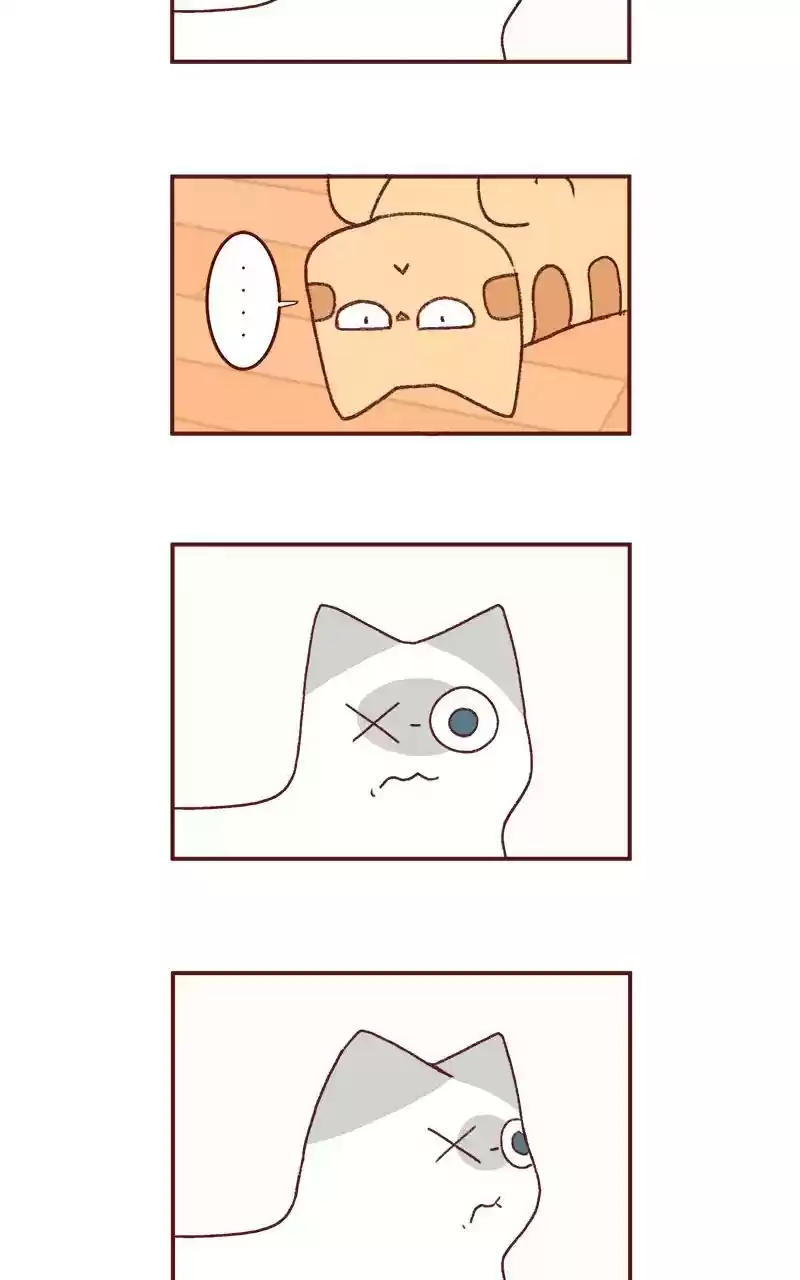 Saphie: The One-Eyed Cat Chapter 218: