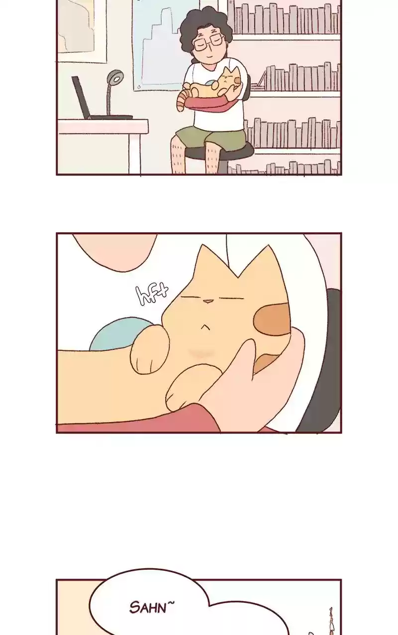 Saphie: The One-Eyed Cat Chapter 221: