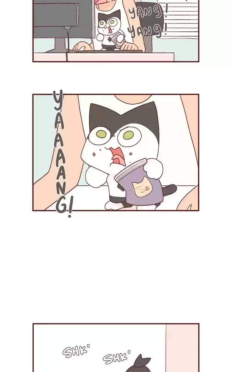 Saphie: The One-Eyed Cat Chapter 221: