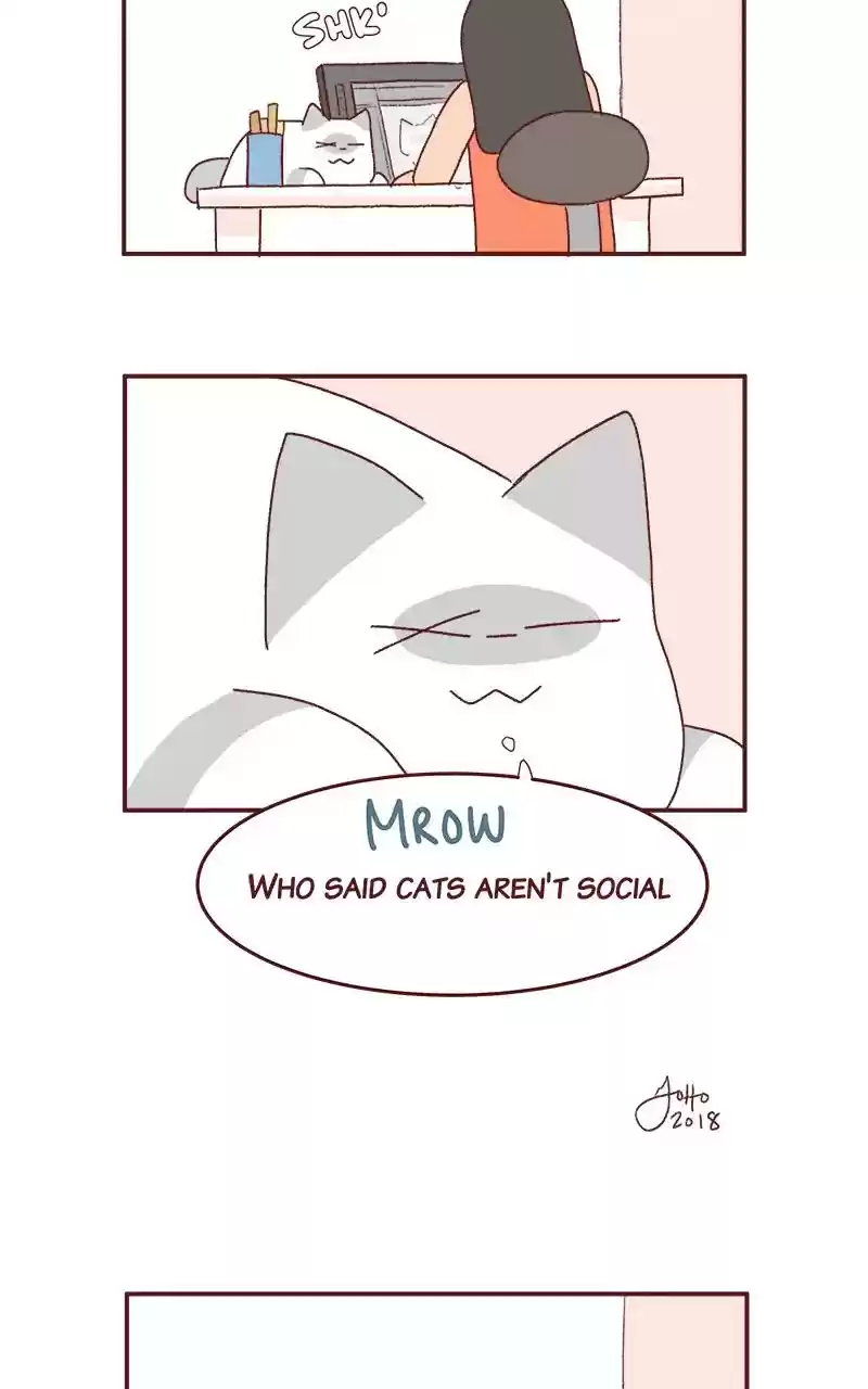 Saphie: The One-Eyed Cat Chapter 221: