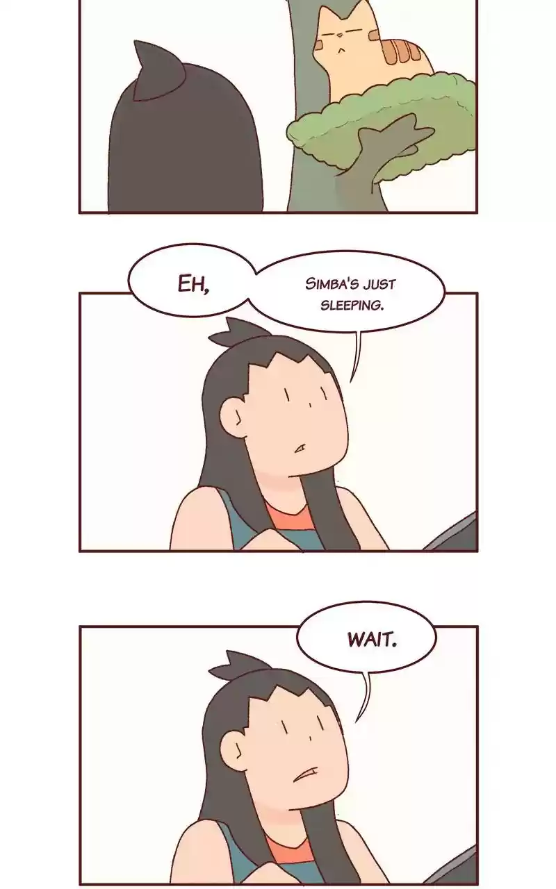 Saphie: The One-Eyed Cat Chapter 222: