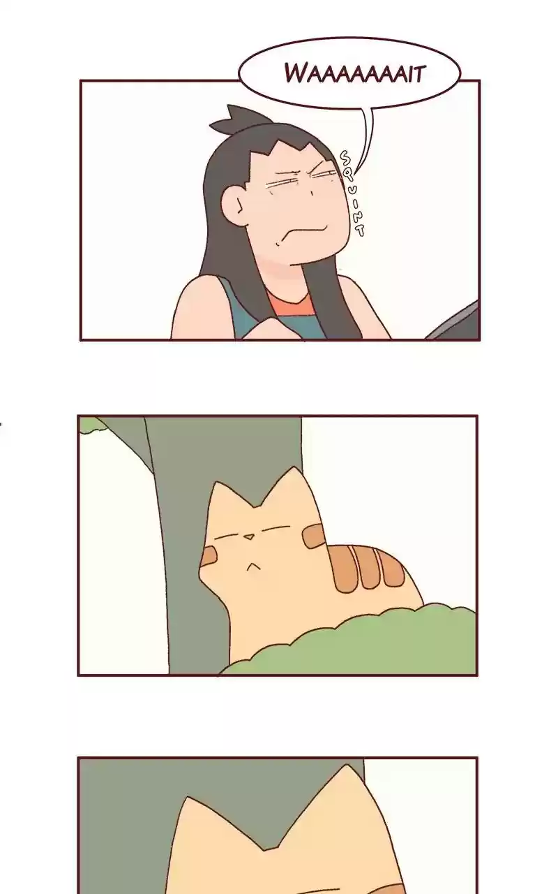 Saphie: The One-Eyed Cat Chapter 222: