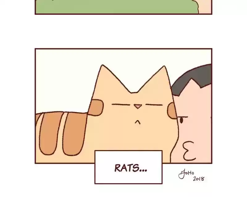 Saphie: The One-Eyed Cat Chapter 222: