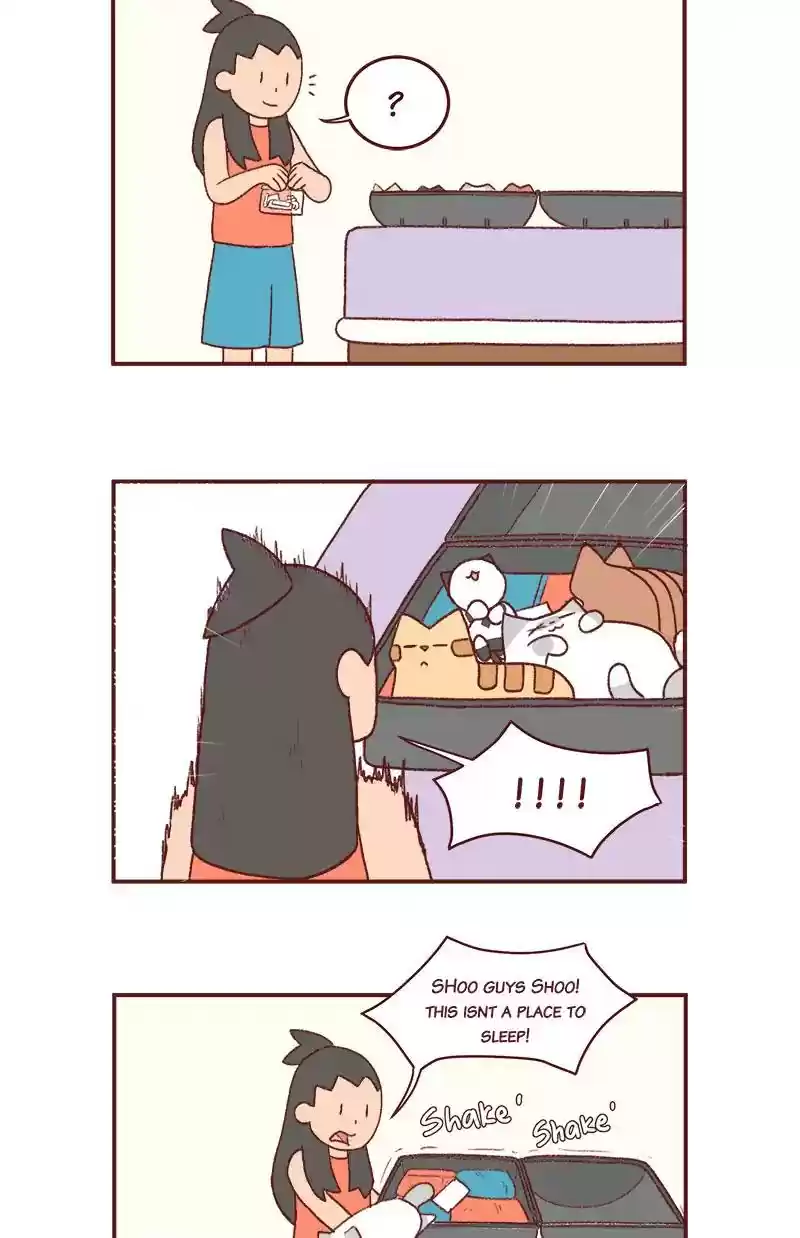 Saphie: The One-Eyed Cat Chapter 223: