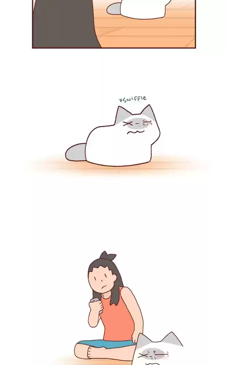 Saphie: The One-Eyed Cat Chapter 226: