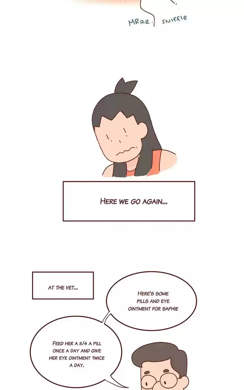 Saphie: The One-Eyed Cat Chapter 226: