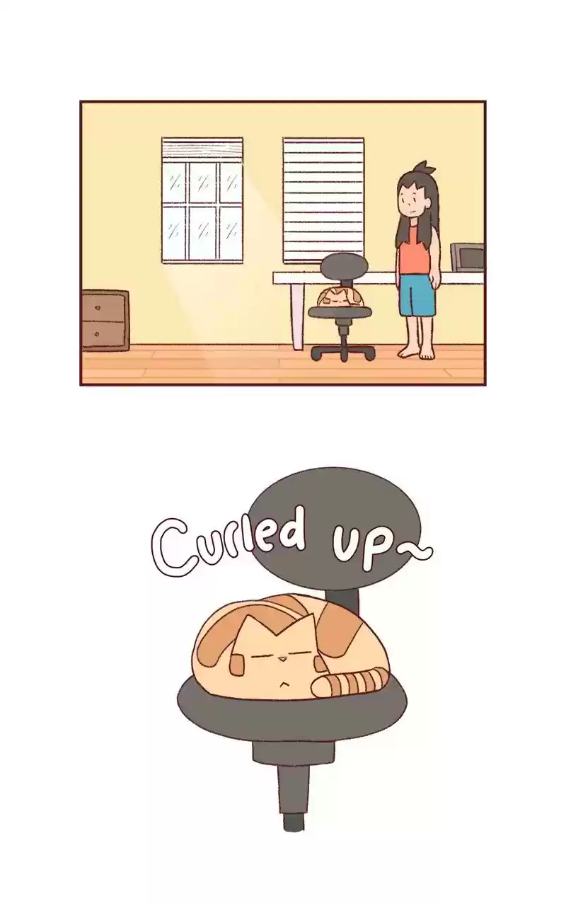 Saphie: The One-Eyed Cat Chapter 229: