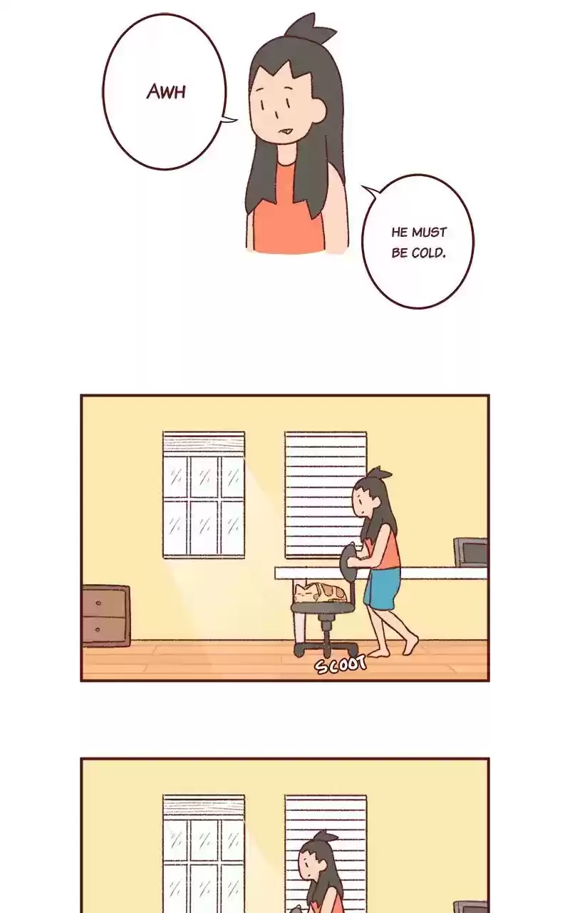 Saphie: The One-Eyed Cat Chapter 229: