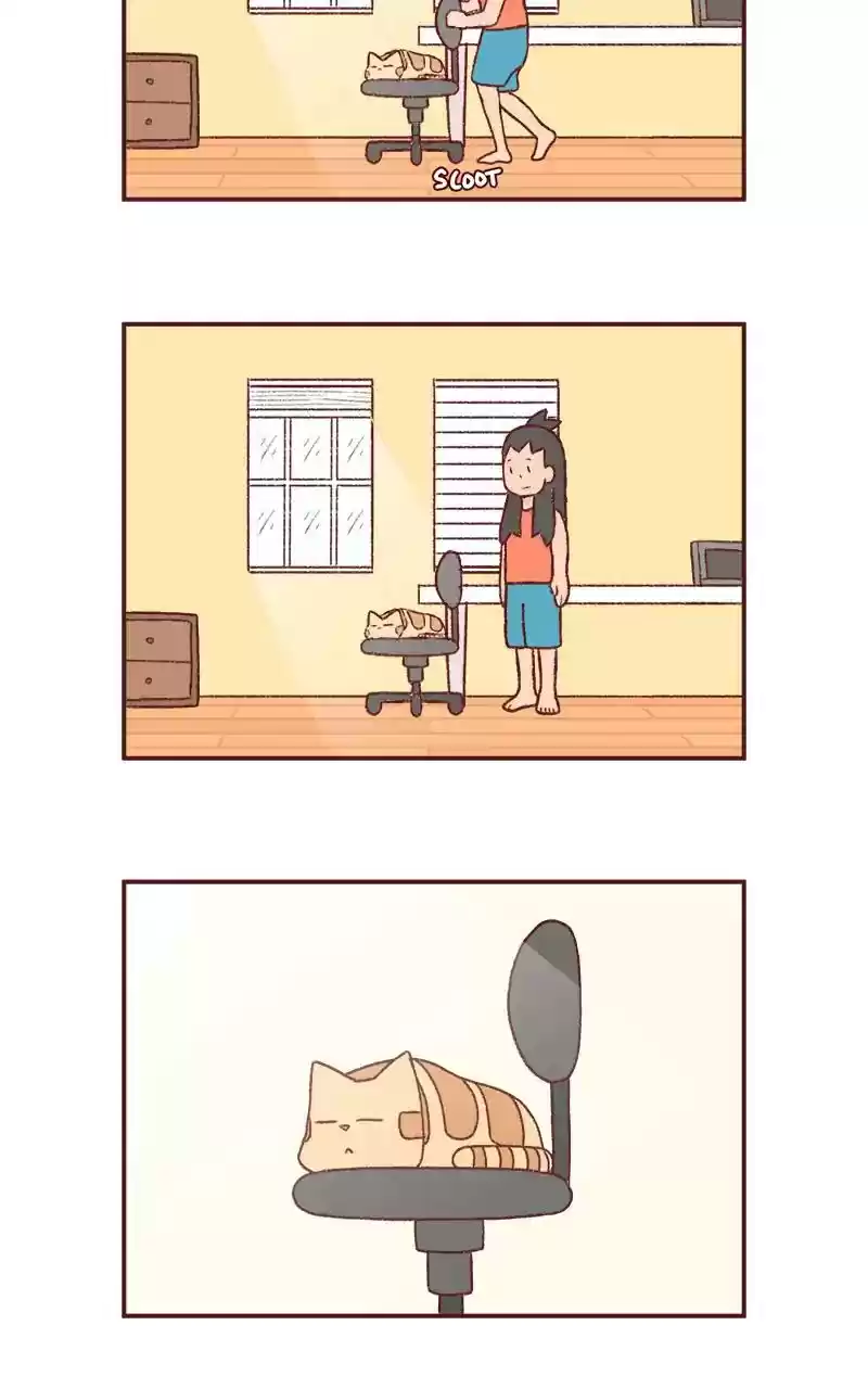 Saphie: The One-Eyed Cat Chapter 229: