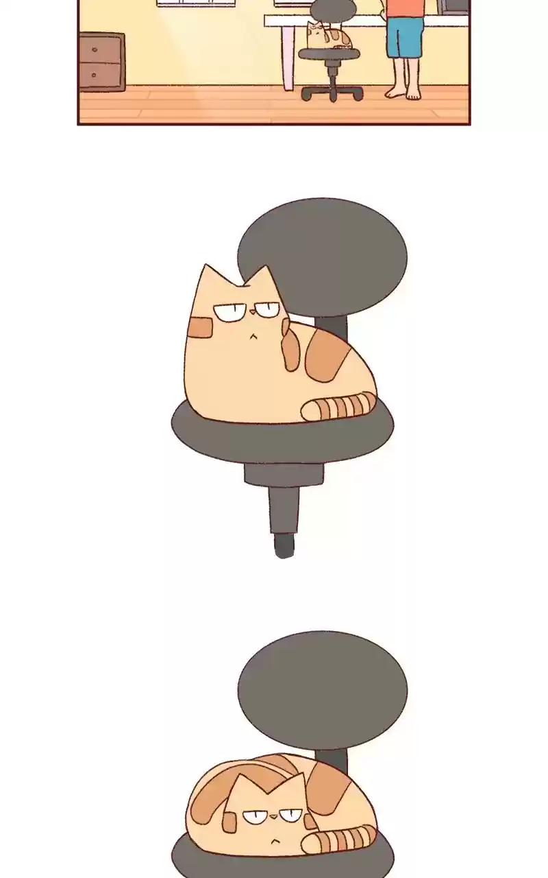 Saphie: The One-Eyed Cat Chapter 229: