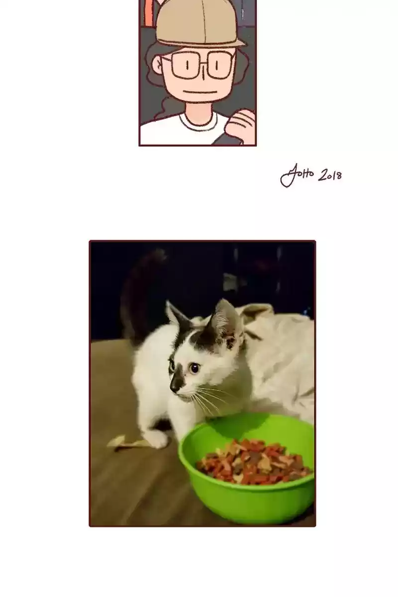 Saphie: The One-Eyed Cat Chapter 232: