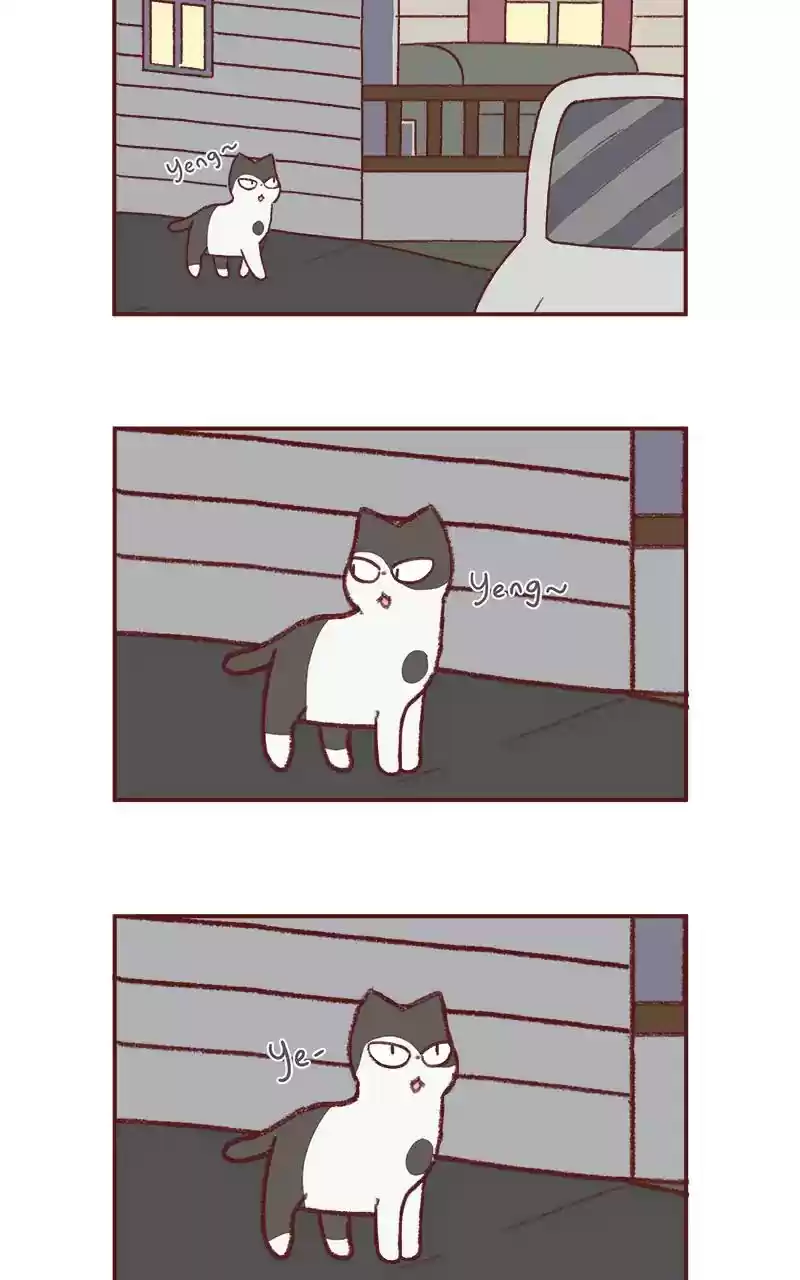 Saphie: The One-Eyed Cat Chapter 233: