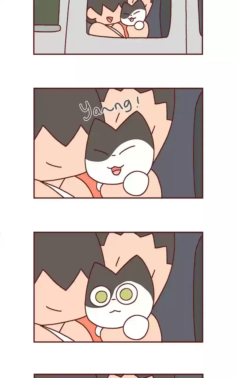 Saphie: The One-Eyed Cat Chapter 233: