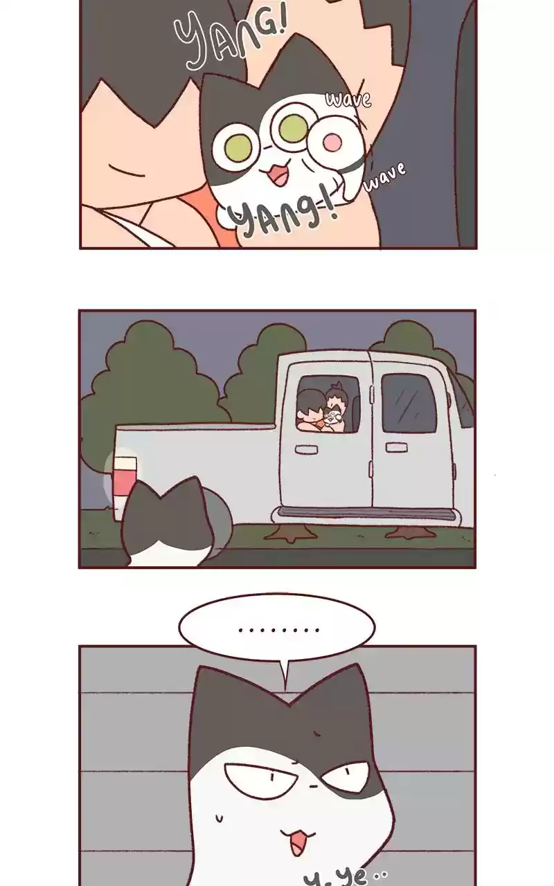 Saphie: The One-Eyed Cat Chapter 233: