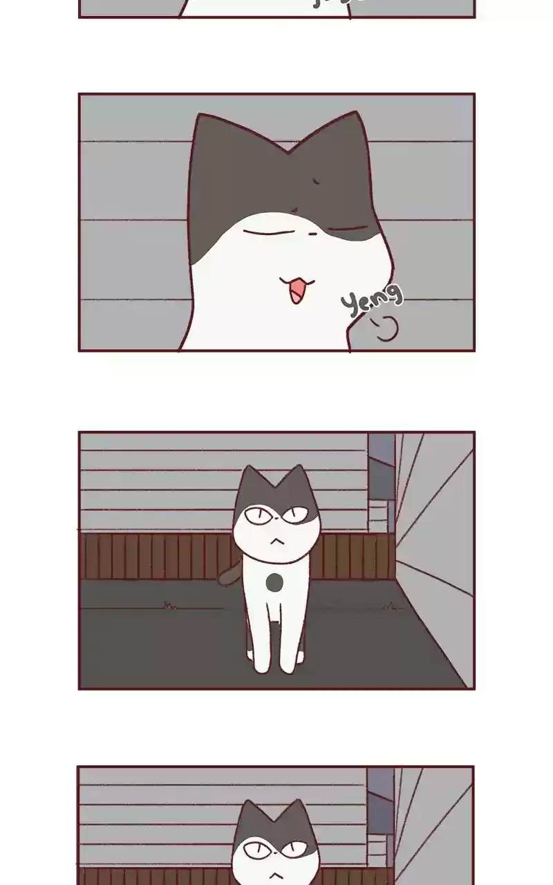 Saphie: The One-Eyed Cat Chapter 233: