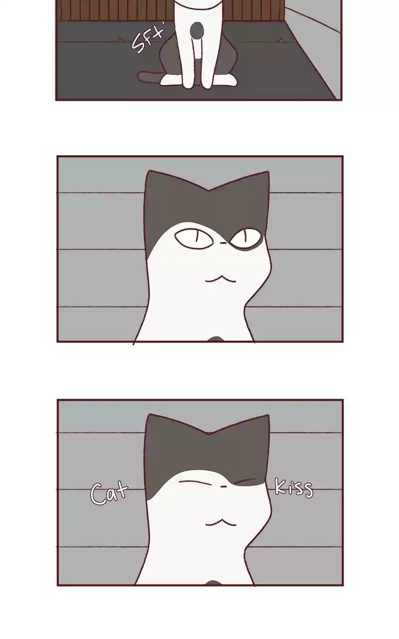 Saphie: The One-Eyed Cat Chapter 233: