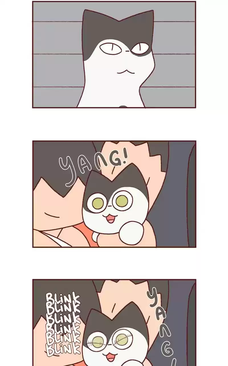 Saphie: The One-Eyed Cat Chapter 233: