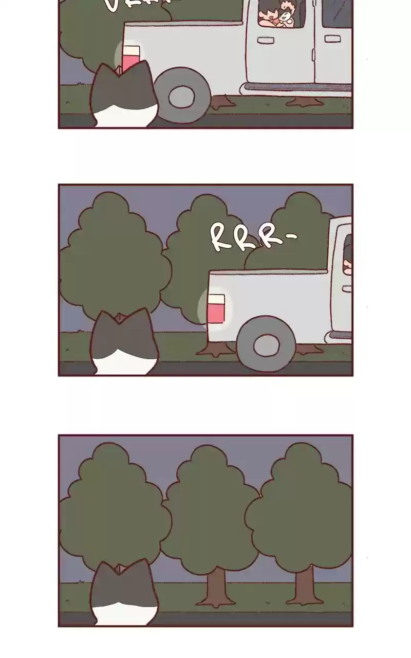 Saphie: The One-Eyed Cat Chapter 233: