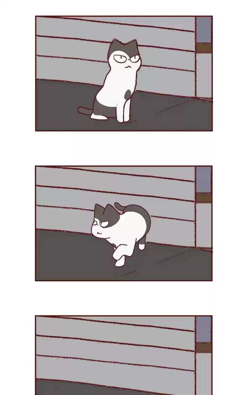 Saphie: The One-Eyed Cat Chapter 233: