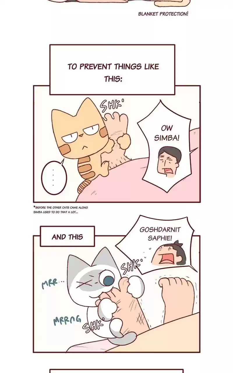 Saphie: The One-Eyed Cat Chapter 234: