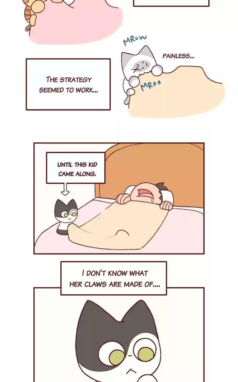 Saphie: The One-Eyed Cat Chapter 234: