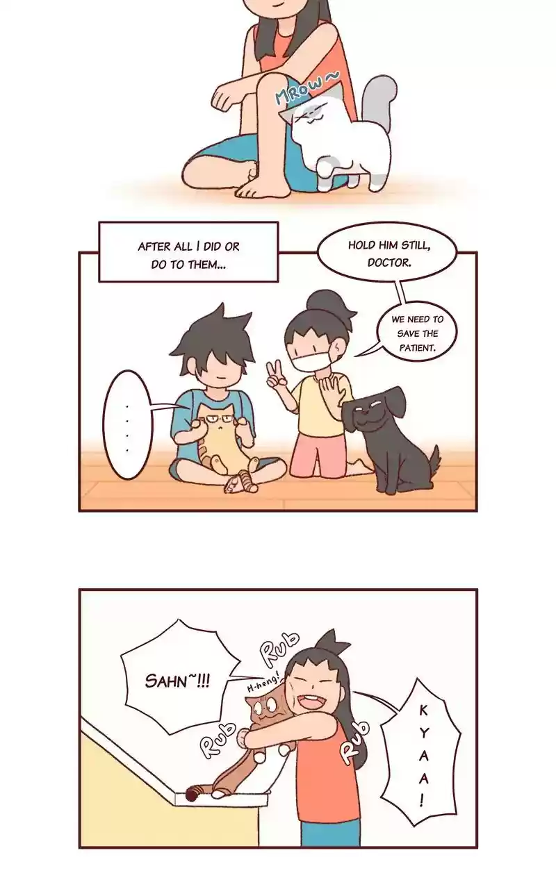 Saphie: The One-Eyed Cat Chapter 235: