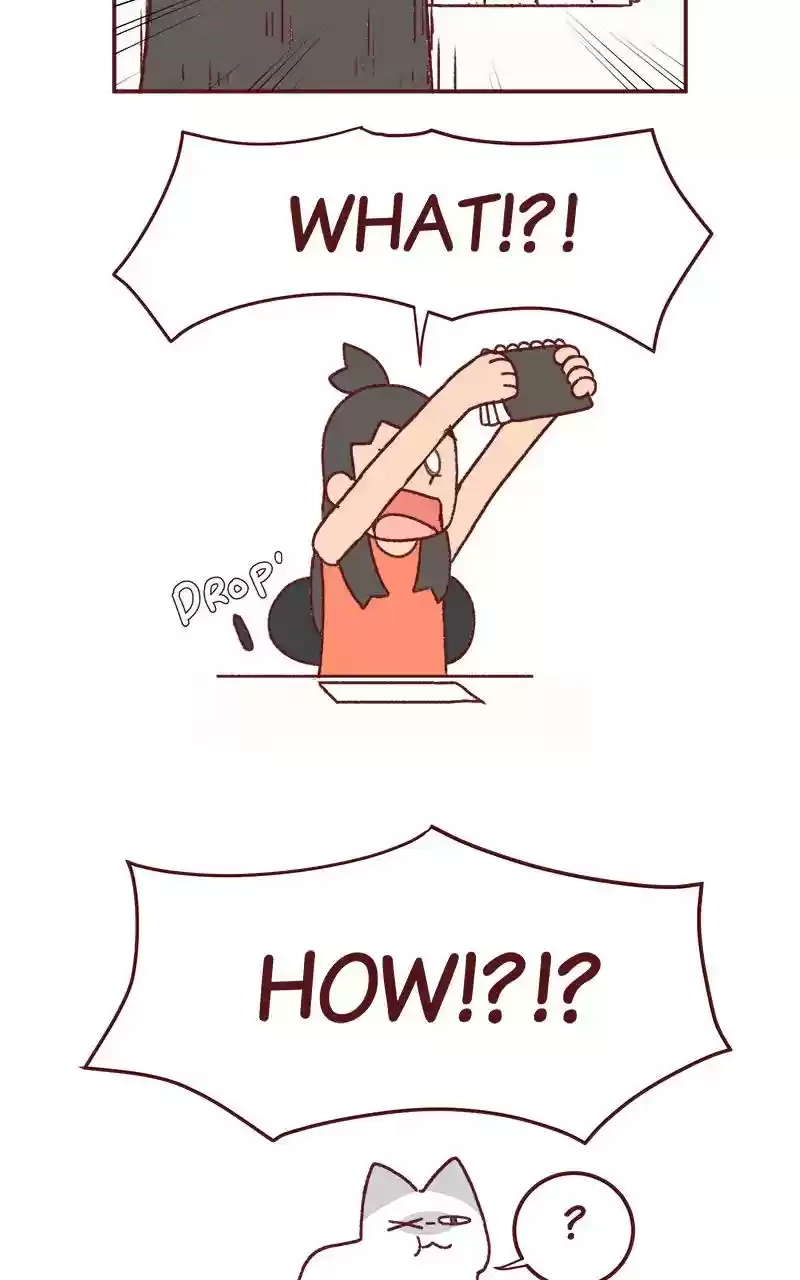 Saphie: The One-Eyed Cat Chapter 239: