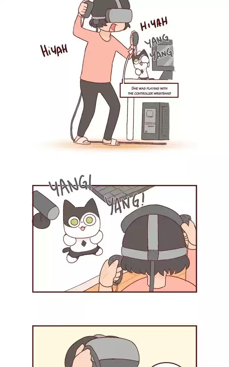 Saphie: The One-Eyed Cat Chapter 240: